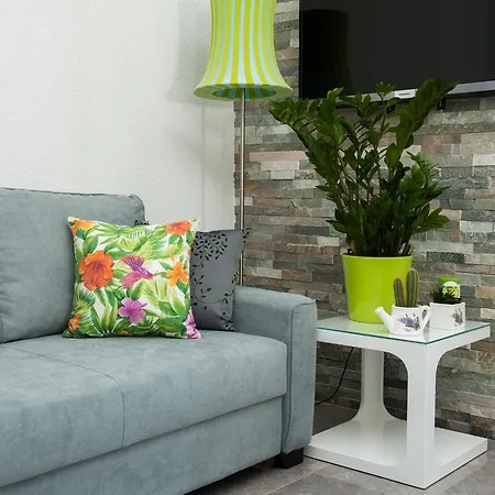 Apartment Penthouse Filka *