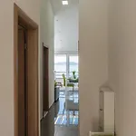 Apartman Penthouse Filka Mimice
